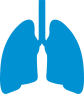 Clinical Data about safety and efficacy of SYMBICORT in COPD